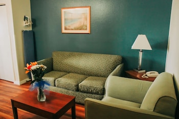 Suite, 1 King Bed, Non Smoking, Kitchenette (No Pets)