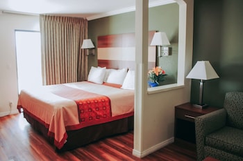 Suite, 1 King Bed, Non Smoking, City View (No Pets)