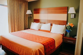 Suite, 1 King Bed, Non Smoking, City View (No Pets)