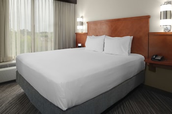 Room, 1 King Bed, Accessible, Bathtub