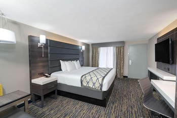Room, 1 Double Bed, Accessible, Non Smoking