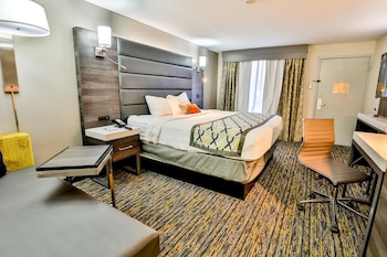 Suite, 1 King Bed, Non Smoking (One-Bedroom)