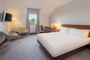 Deluxe Room, 1 Double Bed