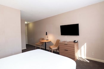 Studio Suite, 1 Queen Bed, Kitchen