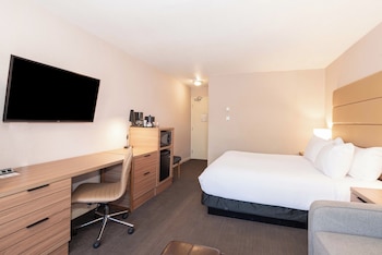 Standard Room, 1 King Bed with Sofa bed