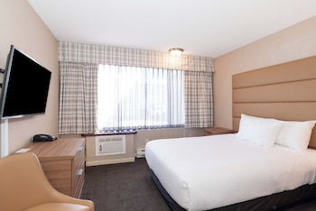 Studio Suite, 1 Queen Bed, Kitchen