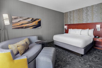 Room, 1 King Bed with Sofa bed