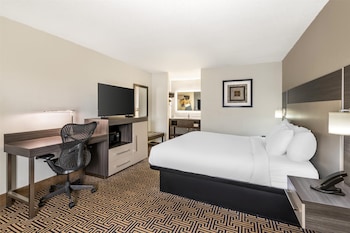 Standard Room, 1 King Bed, Non Smoking