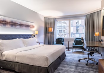 Room, 1 King Bed