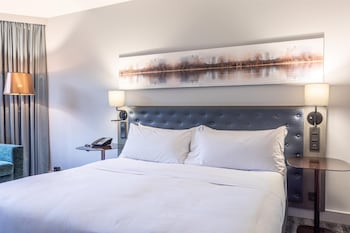 Room, 1 King Bed with Sofa bed