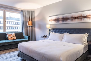 Room, 1 King Bed with Sofa bed