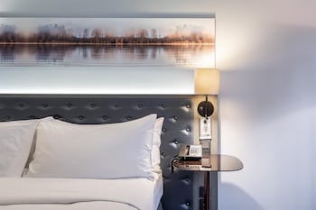 Room, 1 King Bed