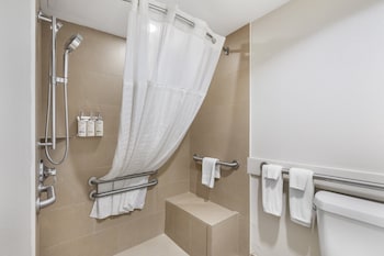 Standard Room, 1 King Bed, Roll-in Shower (Mobility Accessible)
