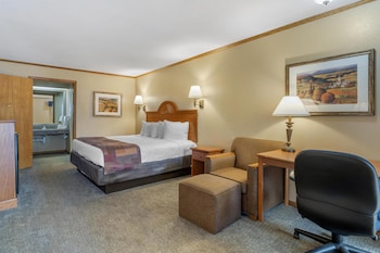 Standard Room, 1 King Bed, Accessible, Bathtub
