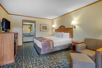 Standard Room, 1 King Bed, Smoking, Microwave