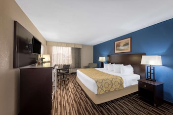 Room, 1 King Bed, Non Smoking