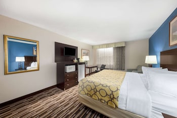 Room, 1 King Bed, Non Smoking