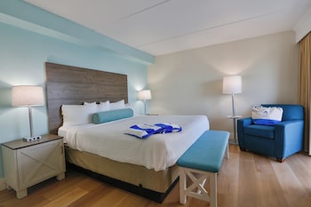 Suite (Best Value, No Balcony, No View)