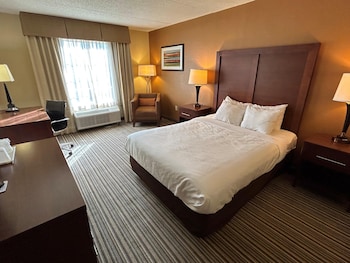 Standard Room, 1 Double Bed, Accessible, Non Smoking