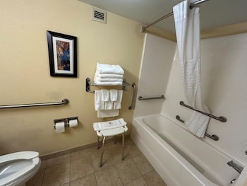 Standard Room, 1 Double Bed, Accessible, Bathtub