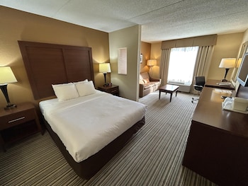 Standard Room, 1 Queen Bed, Non Smoking (with Sofabed)