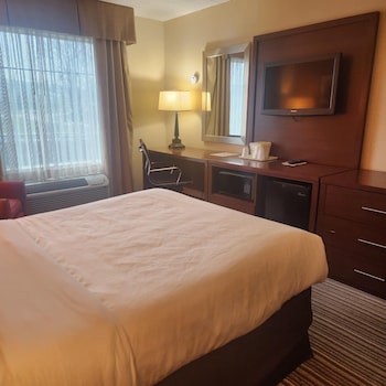 Standard Room, 1 Double Bed, Accessible, Non Smoking