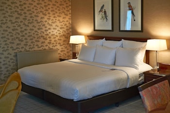 Junior Double Room, 1 King Bed