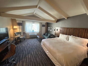 Standard Room, 1 King Bed, Non Smoking (Shower Only)