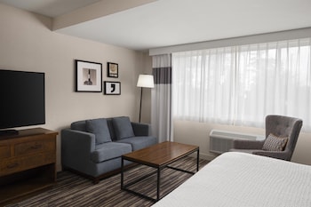 Standard Room, 1 King Bed, Accessible, Bathtub