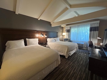 Standard Room, 2 Double Beds, Non Smoking (Shower Only;Pet Friendly)
