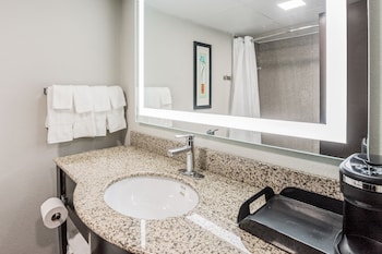 Suite, 1 King Bed with Sofa bed, Non Smoking