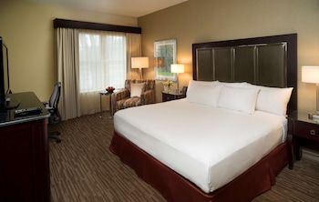 Room, 1 King Bed, Non Smoking