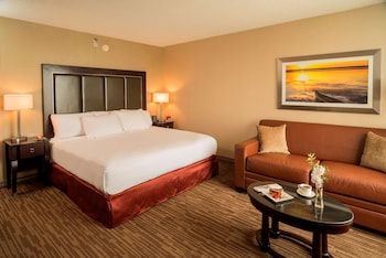 Room, 1 King Bed, Pool View