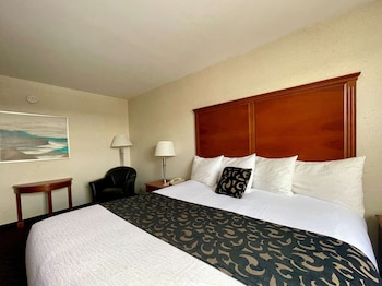 Standard Room, 1 King Bed, Non Smoking, Refrigerator & Microwave