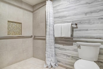Room, 1 King Bed, Accessible (SHOWER)