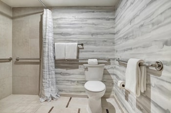Room, 1 King Bed, Accessible (SHOWER)