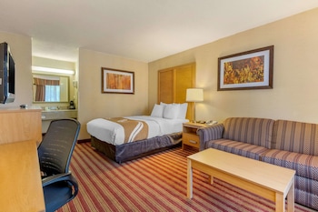 Standard Room, 1 King Bed, Non Smoking