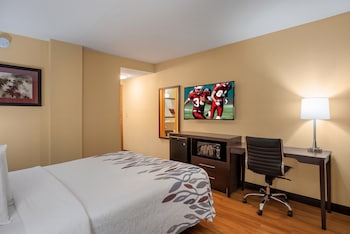 Deluxe Room, 1 Queen Bed, Accessible, Non Smoking