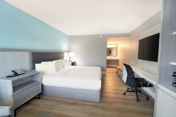 Standard Room, 1 King Bed, Accessible, Non Smoking (Walk-in Shower)