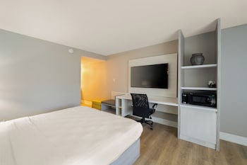 Standard Room, 1 King Bed, Accessible, Non Smoking (Walk-in Shower)