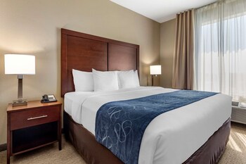 Suite, 1 King Bed with Sofa bed, Non Smoking