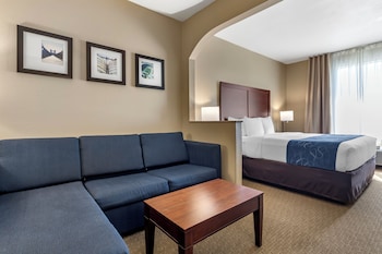 Suite, 1 King Bed with Sofa bed, Non Smoking