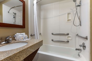 Suite, 1 King Bed with Sofa bed, Non Smoking