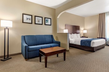 Suite, 1 King Bed with Sofa bed, Accessible, Non Smoking