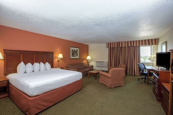Studio Suite, 1 King Bed, Non Smoking