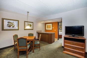 Deluxe Suite, 1 Bedroom, Non Smoking (Wet Bar)