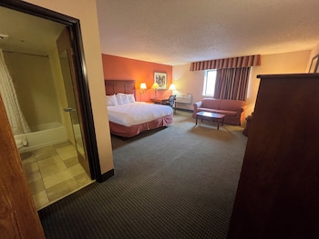Studio Suite, 1 King Bed, Non Smoking