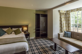Superior Room, 1 King Bed, Non Smoking