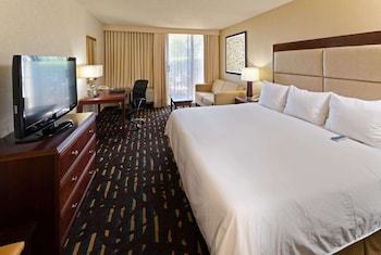 Room, 1 King Bed, Non Smoking