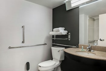 Room, 1 King Bed, Transfer Shower
